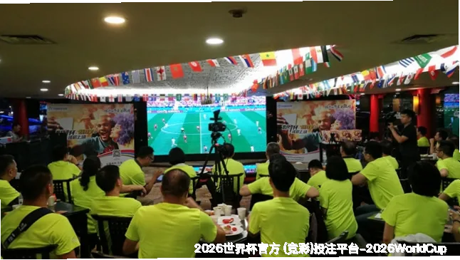 历史命中率展示